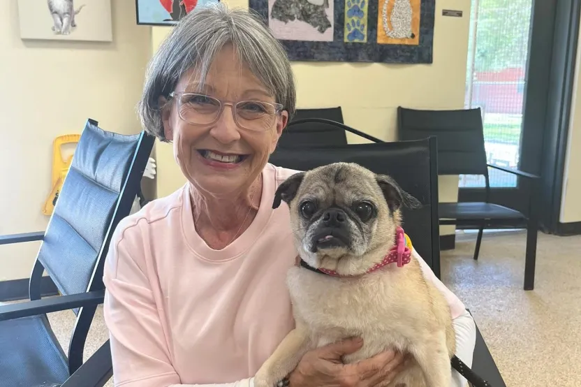 Animal Welfare Society of Kerr County: Kia Pet Adoption